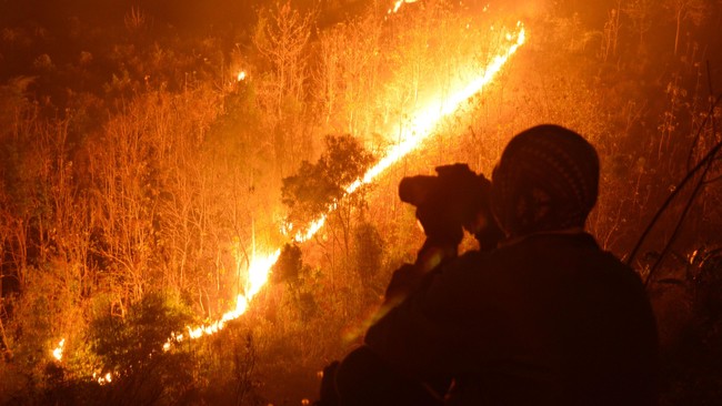 Para pemerhati hutan akan duduk bersama mencari solusi terbaik atas berbagai kasus di sektor kehutanan, baik yang berskala regional maupun nasional.