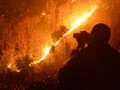 Pemerintah Nyatakan Beri Masyarakat Kesempatan Kelola Hutan