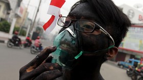BNPB: Kebakaran Hutan 2015 Seluas 32 Wilayah DKI Jakarta