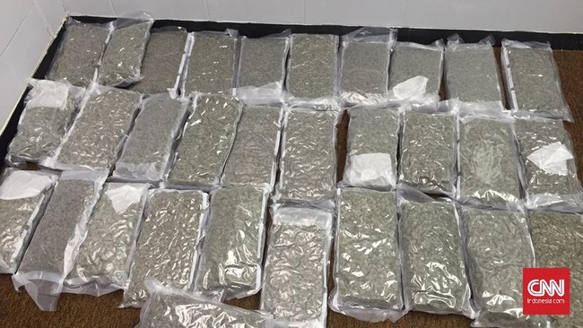 Kelompok pendukung legalisasi ganja di Israel, Green Drone, 'menghujani' Tel Aviv dengan mariyuana yang dijatuhkan dari pesawat nirawak pada akhir pekan lalu.