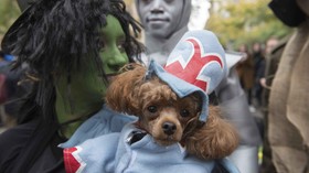 'The Wizard of Oz' Bersudut Pandang Anjing Mulai Digarap