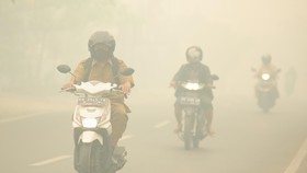 Kebakaran Hutan dan Lahan, Kabut Asap Selimuti Meulaboh