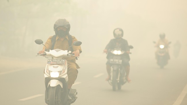 Kebakaran diduga terjadi karena ulah warga yang membakar lahan untuk dijadikan kawasan perkebunan. Api dengan cepat merembet karena musim kemarau.