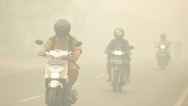 Kebakaran Hutan dan Lahan, Kabut Asap Selimuti Meulaboh