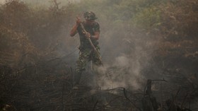 Bank Dunia: Kebakaran Hutan dan Kabut Asap Rugikan Ekonomi RI