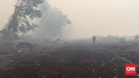 Tentara di Hutan Terbakar: Bertemu Hewan Buas dan Kobaran Api