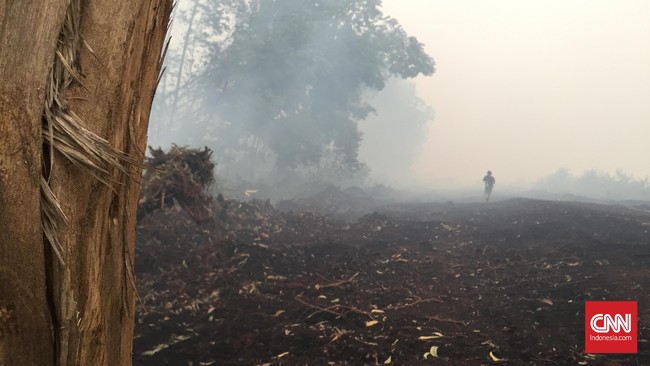 Paling bahaya, kata prajurit yang padamkan kebakaran hutan, jika diapit kobaran api dan binatang liar. Api pun bak makhluk hidup yang mudah melompati sekat.