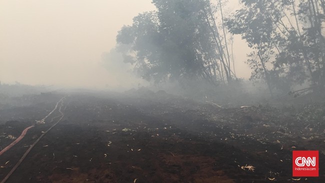 Kabut asap pagi ini kembali menyelimuti area konsesi PT Bumi Andalas Permai di Ogan Komering Ilir meski hujan lebat kemarin mengguyur.