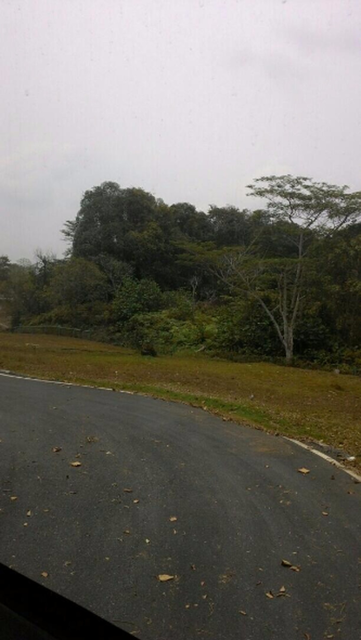 Cuaca Sudah Kembali Segar Lagi, Kami Tidak Memakai Masker