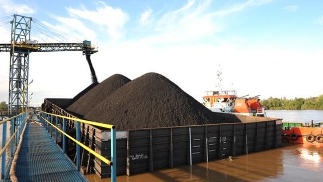 Pengusaha menyambut rencana pemerintah menghapus kewajiban sebagian penjualan produksi batu bara domestik (DMO) dan harga khusus batu bara bagi PLN.