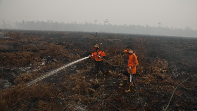 NASA temukan lima titik panas di Sumatera, dengan tingkat potensi kebakaran hutan di atas 50 persen. Masalah kebakaran hutan belum juga usai.
