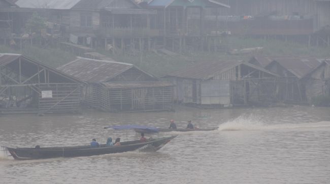 Penerbangan Palangka Raya Hampir Lumpuh Akibat Kabut Asap Jarak pandang kurang dari 600 meter menyebabkan aktivitas penerbangan di Palangka Raya terganggu karena pesawat tak berani mendarat atau lepas landas.
