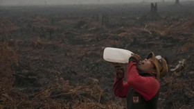 Polri Akui Berhati-hati Ungkap Perusahaan Pembakar Hutan