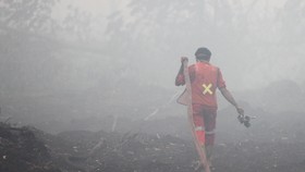 UGM Tawarkan Penanganan Kebakaran Lahan Gambut ke Jokowi