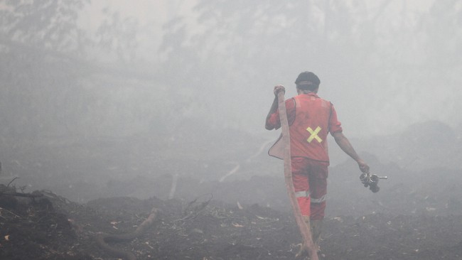 Dugaan pelanggaran hak asasi manusia dalam kebakaran hutan dan kabut asap menguat karena jatuh korban jiwa. Pemerintah dianggap tak bisa melindungi warga.