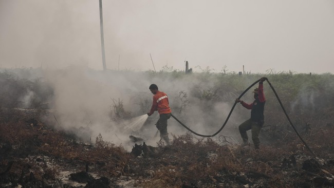 Pemprov Riau telah memperpanjang status siaga darurat kebakaran lahan dan hutan terhitung mulai awal Juni hingga 30 November 2016.
