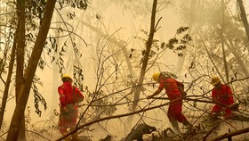 Gugatan Atas Perusahaan Pembakar Hutan Rugikan Ekonomi RI