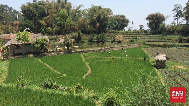 Wisatawan diharapkan tidak sekedar berkunjung ke destinasi, tapi juga terlibat menjaga lingkungan dan budayanya.
