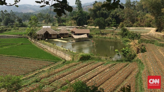 Jokwi belum mampu mewujudkan pembangunan yang bergerak dari pinggir ke pusat. Pembangunan ekonomi masih berpusat di perkotaan membuat desa terpinggirkan.