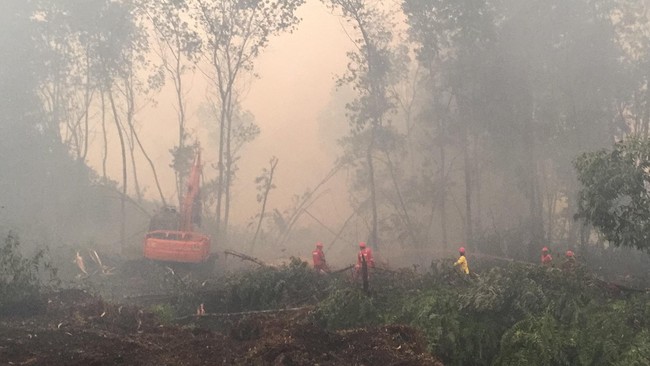 Dari jumlah tersebut, 16 perusahaan di antaranya langsung diberi sanksi pembekuan izin usaha.