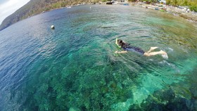 Olele, Taman Laut Cantik yang Menunggu Dijamah Turis