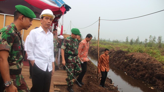 Selain membangun ribuan kanal air pada lahan gambut, APP juga bakal merestorasi 7 ribu hektare hutan tanaman industri menjadi hutan alam kembali.