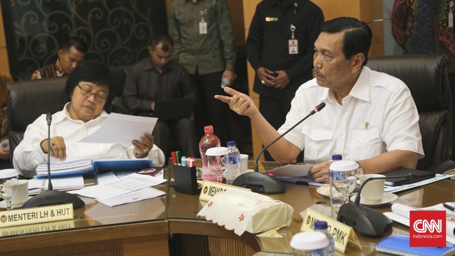 Menkopolhukam Luhut Binsar Pandjaitan mengatakan perusahaan di antaranya berasal dari Malaysia, Singapura, Australia dan China.