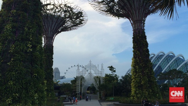 Ke Singapura jangan hanya berbelanja. Ada sejumlah spot menarik untuk tempat belajar. Salah satunya di Gardens by The Bay. Ini kisahnya.