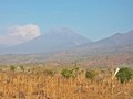 Status Rinjani Waspada, Pengungsian Belum Dilakukan