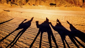 Mengunjungi Sharm el-Sheikh, Permata Wisata Mesir