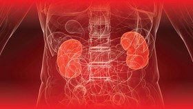 Tiga Modus Kejahatan Perdagangan Organ Menurut PBB