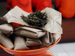 Teka-teki Pemilik Sekilogram Ganja di Puncak Cipanas