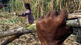 Ratusan Buruh Apel Siaga Jelang Mogok Nasional di 200 Kota