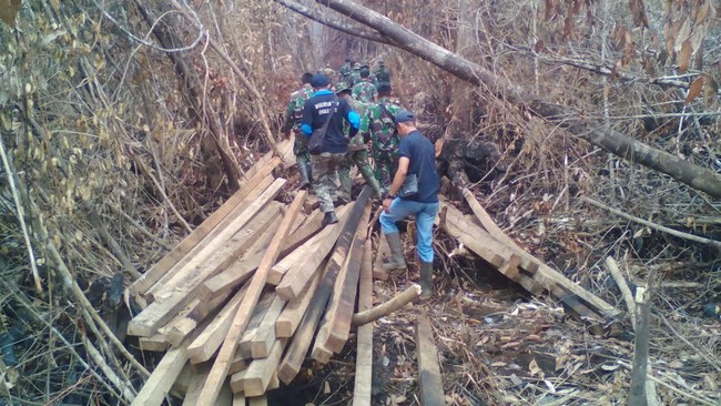APHI mencatat akibat kebakaran hutan yang terjadi, pasokan kayu hutan tanaman industri (HTI) di kuartal III 2015 turun 29 persen menjadi 6,56 juta meter kubik.