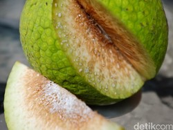 Seperti Apa Buah Sukun? Ternyata Memiliki Banyak Manfaat Menurut Pakar