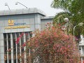 Sembilan Pegawai Bukit Asam Positif Corona