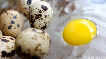 RESEP TELUR PUYUH