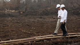 Jokowi Persiapkan Materi untuk KTT Perubahan Iklim di Paris