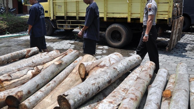 Kejagung buka peluang mengusut dugaan tindak pidana pencucian uang (TPPU) terkait aksi pembalakan liar kayu meranti di Pulau Sipora, Mentawai, Sumatera Barat.