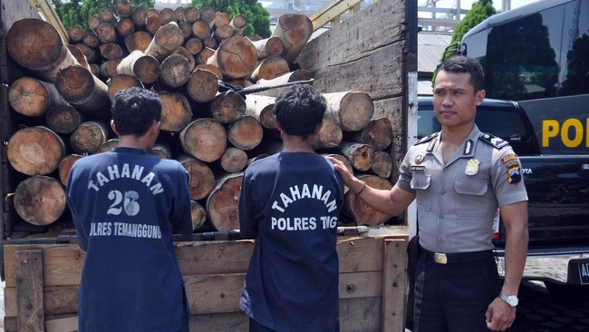 Kekuatan kepolisian juga dinilai pengamat kepolisian Bambang Widodo Umar lebih tinggi dibanding lembaga pengawasnya, yaitu Kompolnas.