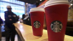 Putri Duyung Starbucks Rangkul Burung Indonesia