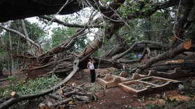 Angin Kencang Melanda Batu, Tempat Wisata Coban Talun Ditutup