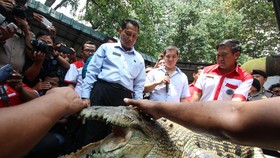 Jenderal Buwas Diragukan Dapat Laksanakan Ide-idenya