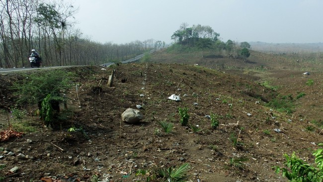 Tim Advokasi Antimafia Hutan menyayangkan UU Kehutanan tidak dibatalkan. Padahal dinilai represif karena menyasar masyarakat.