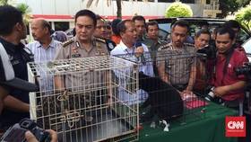 Penjualan Satwa Langka Indonesia Terbesar di Asia Tenggara
