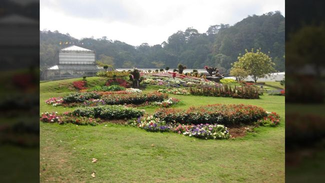 Sebuah jalan setapak dari kaca dan dibangun sepanjang 400 meter akan segera dibuka di kebun raya Queen Sirikit di Thailand.