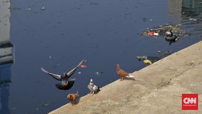 Salah satu pasien dinyatakan negatif flu burung, sementara pasien lainnya masih menjalani pemeriksaan oleh LitbangkesKemkes RI.