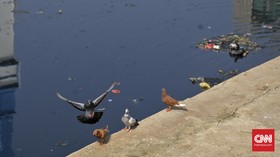 Dua Pasien Diduga Flu Burung Dirawat di RSDUAM Lampung
