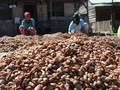 Ketum GAPMMI: Gernas Kakao Harus Dihidupkan Lagi