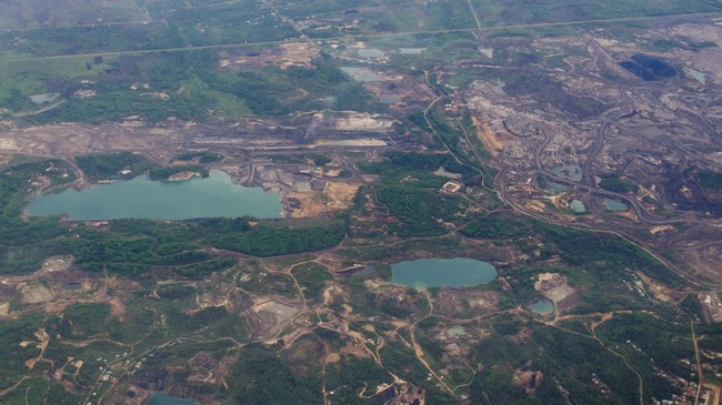 Praktik pemanfaatan sumber daya alam dengan bahan kimia seringkali menyebabkan biokimia tanah rusak. Bagaimana memulihkannya?